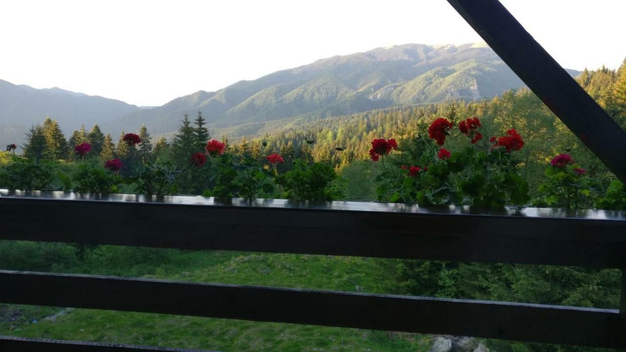 Nature House Predeal Exterior foto